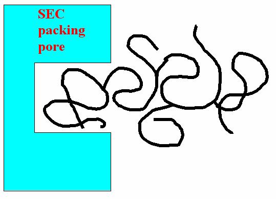 SEC Elution Behavior of Branched Polymers Large branched molecules are anchored in packing pores and elute later than it would correspond to their hydrodynamic size Slices at high