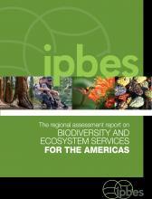 IPBES-6 (march 2018) In the