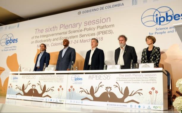 plenary session, Paris, may 2019 Review of first work