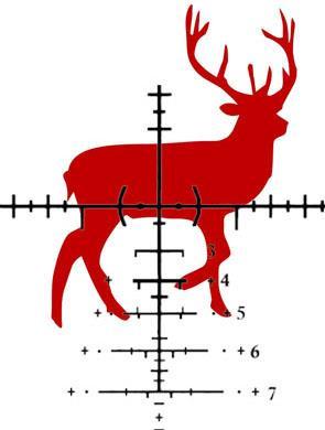 holdovers or with the arcs in the center. For our examples, we will be using a deer with a 20 belly as our target.