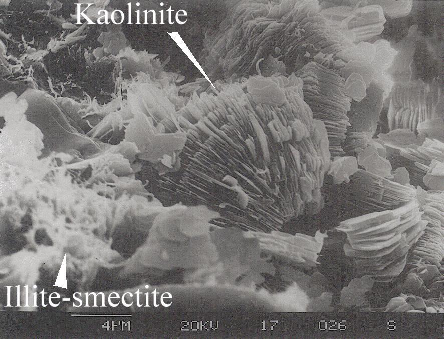 CLAY STRUCTURE Structure of Kaolinite Si 4 Al 4 O 10 (OH)