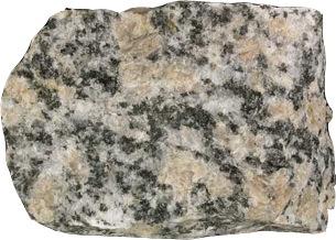 STATION 9 43. What is this? True or False: 44. This is the state rock of NC 45.
