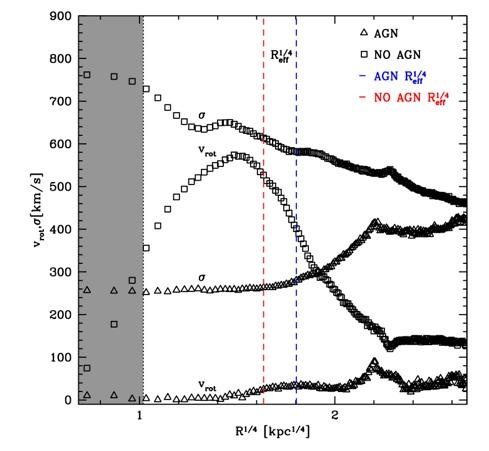 Kinematic properties of the BCG σ in