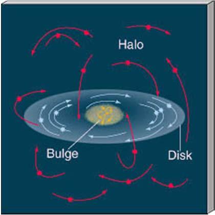 halo Halo and bulge stars retain the random motion of the original cloud while the disk stars move about the center on a flattened plane
