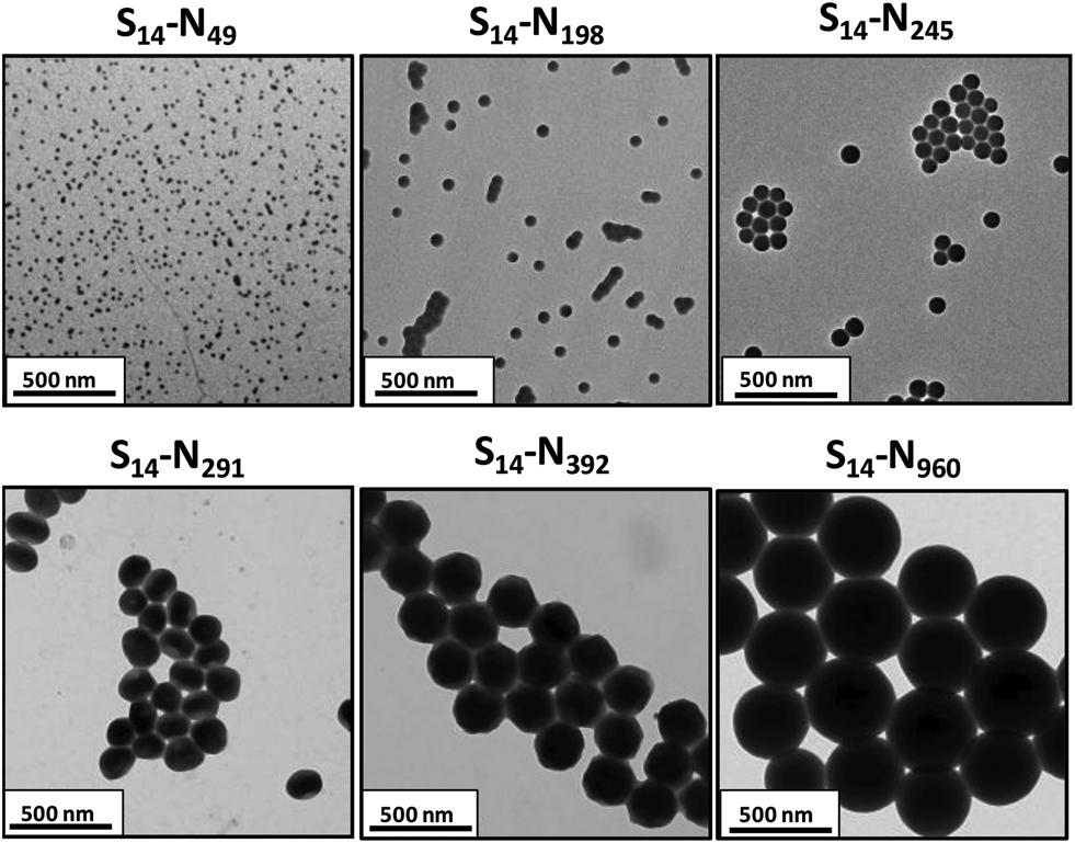 Fig. 4 TEM images obtained for PSMA 14 PNMEP x diblock copolymer nanoparticles prepared at 10% w/w solids in n-dodecane showing welldefined spherical nanoparticles (N.B.