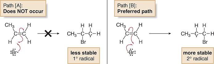 Radical Additions to Double Bonds Note that in the first propagation step, the addition of Br to the double bond, there are two possible paths: 1.