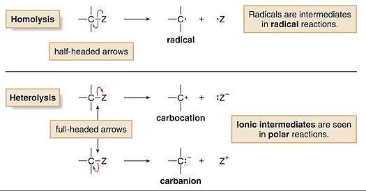 Bond Breaking forms particles called reaction intermediates.