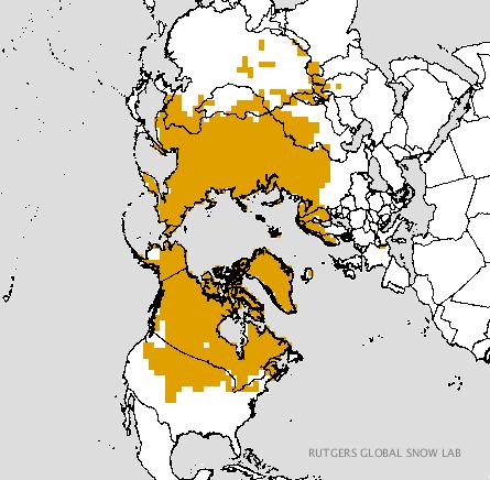 NOTHERN HEMISPHERE SNOW COVER/GROWTH The more widespread the snow coverage/depth over Siberia & Eurasia, the higher the probability of the AO becoming negative.
