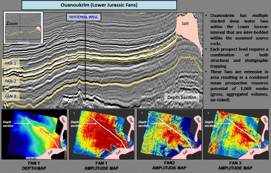 Figure 4 Seismic Interpretation of Lower Jurassic Fans 3.