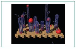 Zeolite ZSM 5 used as growth medium for nanotubes nanotube
