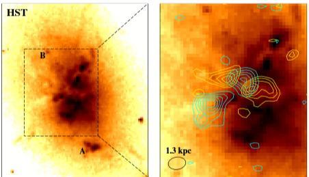 ALMA: cold gas in cool core clusters H 2 mass 1.