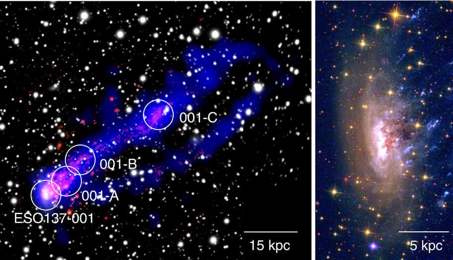 X-ray and molecular tails Ram pressure in clusters: in general slow gas