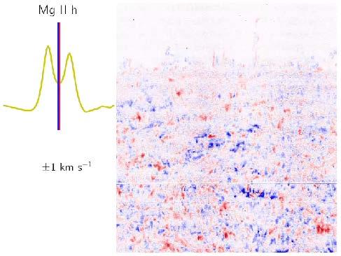 Spicules associated with strong Alfvenic waves Hinode/SOT Ca II H (~10,000 K) shows