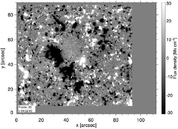 Granular fields are prevalent in vicinity of network Up to 50% of the QS flux is in the form of IN patches (Wang et al. 1995) IN elements appear at a rate of 120 Mx cm -2 day -1 (Gošić et al.