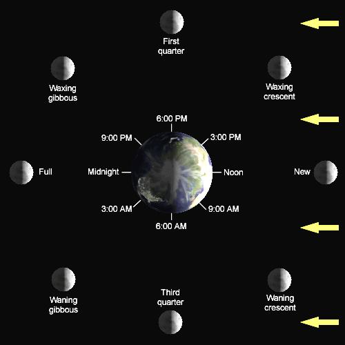 6.1.1 Phases of the Moon Develop and use a model of the Sun-Earth-Moon system to describe the cyclic patterns of lunar phases, eclipses of the Sun and Moon, and seasons.