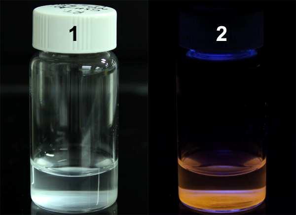 Figure S9. Digital photos of the product synthesized by reacting HAuCl 4 (2 mm) and GSH (3 mm) at 25 C for 24 h. The product was viewed under visible (item 1) and UV (item 2) light.