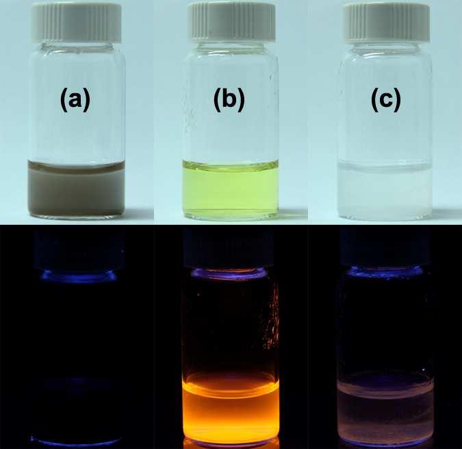 Figure S11. Digital photos of the products synthesized by mixing HAuCl 4 (2 mm) and GSH with different GSH-to-Au ratios: (a) 0.5:1, (b) 1.