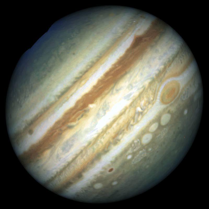 Jupiter: Giant Among Planets Jupiter is only 1/800 as massive as the sun, however it is by far the largest planet in