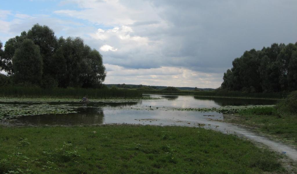 Example of habitats field view Training