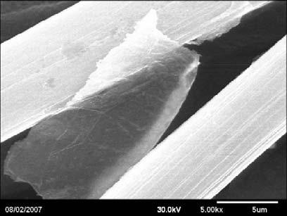 Figure 3B shows an ODA-graphene particle where gold particles have been bonded onto the surface. Both images show individual graphene sheets. In some cases few stacked sheets could also be seen.