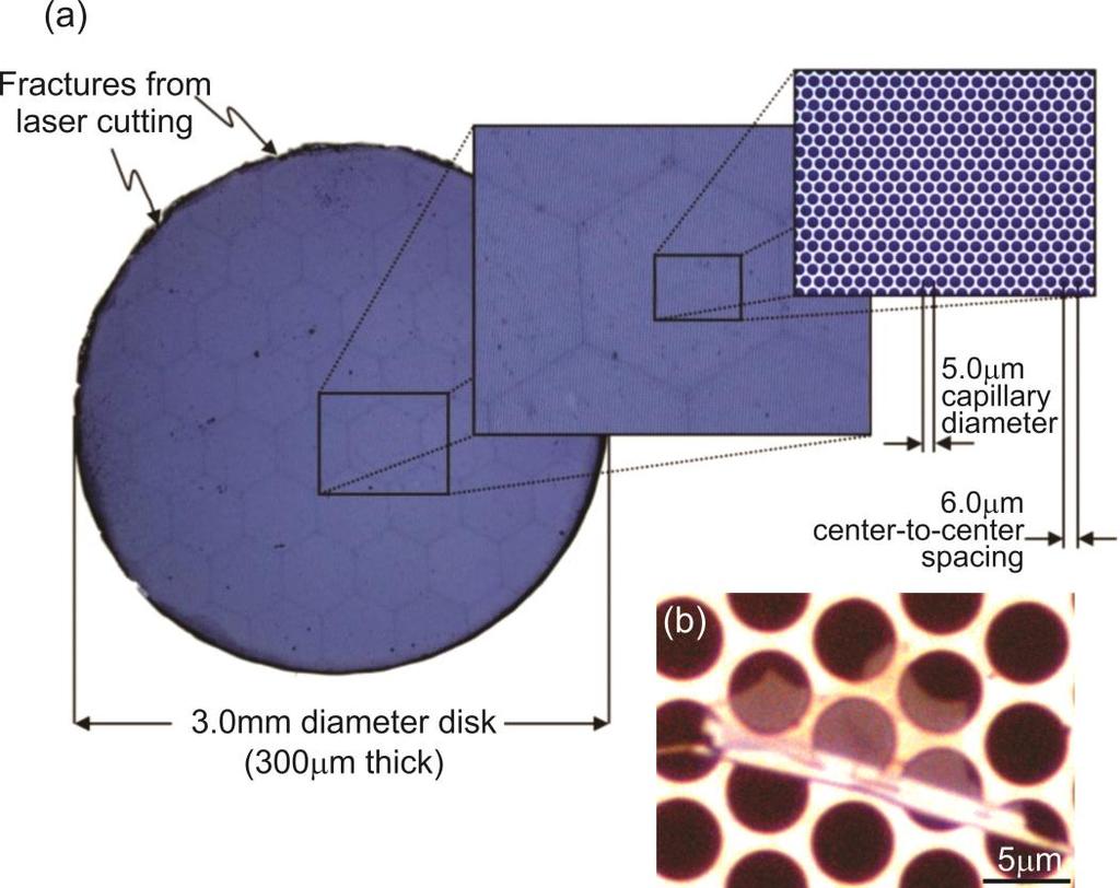 Figure 5-2 Images of MCP substrate for suspended graphene compatible with TEM studies.