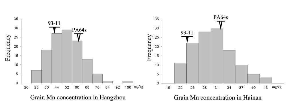 Fig. S1 Fig.S1 Frequency distributions for grain Mn concentration in RILs in Hangzhou (2013) and Hainan (2013).