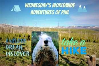 We love seeing where all of Phil s friends take him! How to participate? The first step is to request a photograph of Phil; all participants will be given the same 5x7 photograph copy of Phil to use.