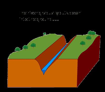 c) Distributaries carry the water towards the river. d) Permeable rocks cannot absorb water.