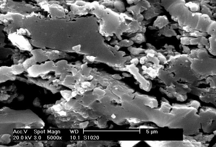 SEM micrographs of the longitudinal section surfaces of the S0020 and S1020 carbon pellet are compared in Figures 4.
