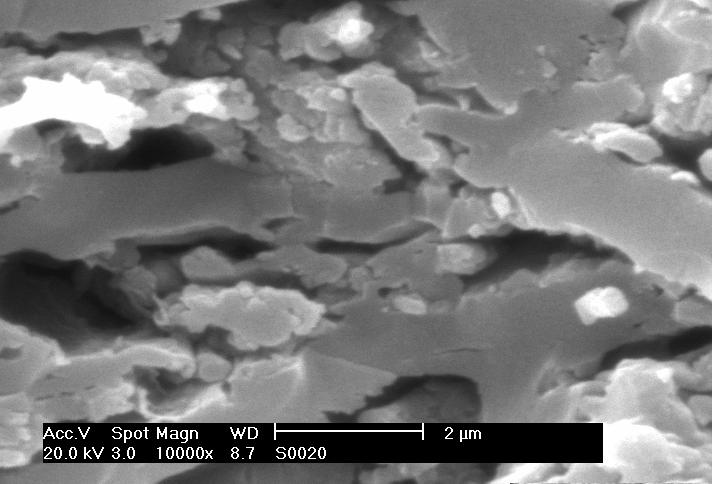 (c ) (d) Figure 4. SEM micrographs of carbon pellets S0020 and S1020 for the magnification of 5000x (a and b) and 10000x (c and d).