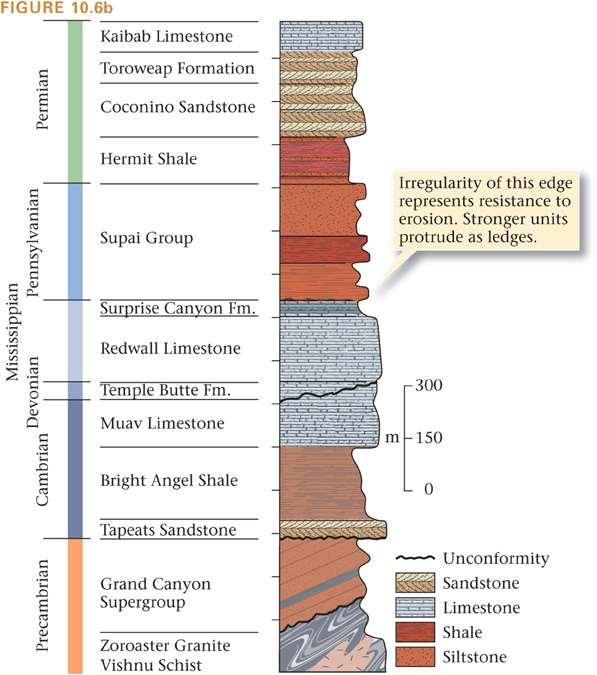 Stratigraphic Columns Stratigraphic columns depict strata in a region Drawn to scale to accurately portray
