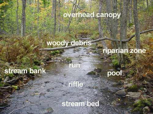 Fresh Water Locations Rivers, Streams,