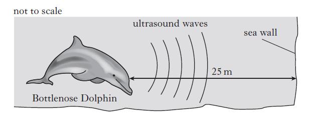 Echolocation is the location of objects by using reflected sound. Bottlenose dolphins use ultrasounds for echolocation. (i)when the dolphin is 25 m from the sea wall, it emits a pulse of ultrasound.