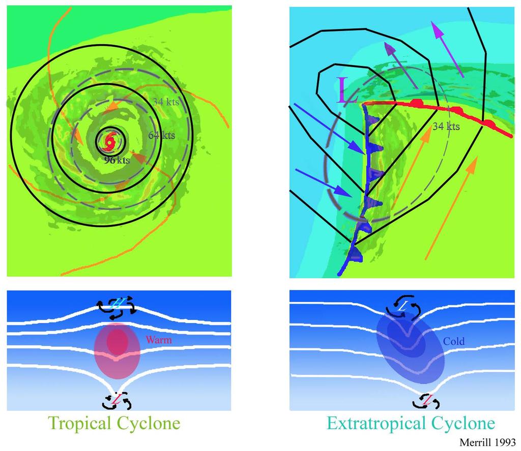 Extratropical Transition Tropical Cyclone (TC) Warm Core Symmetric about eye Energy from latent heat