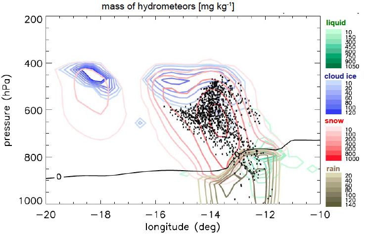 Microphysics in warm conveyor belts Hydrometeors in COSMO model simulation