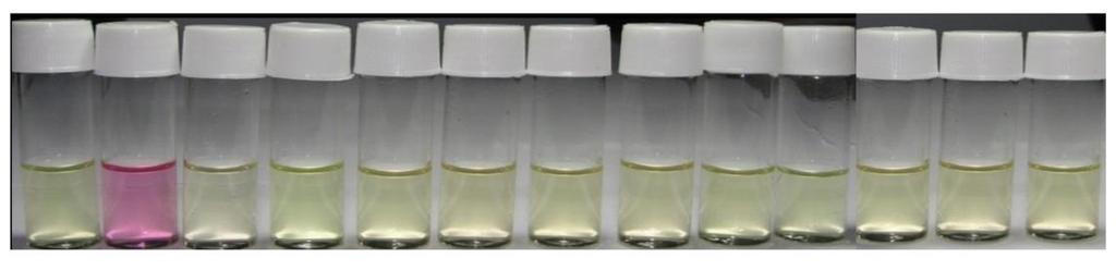 In acetonitrile solution; S1 showed selective naked eye colour change from olive green to pink for F while other anions did not produce any categorical change (figure 2).