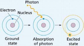 Helium Atom An Excited Atom Two proton and two neutrons in the nucleus Two