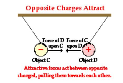 According to the third law of motion, the forces are equal in magnitude and opposite in direction.