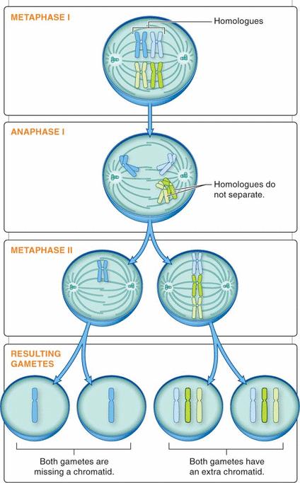 Unequal distribution of chromosomes during meiosis Resulting