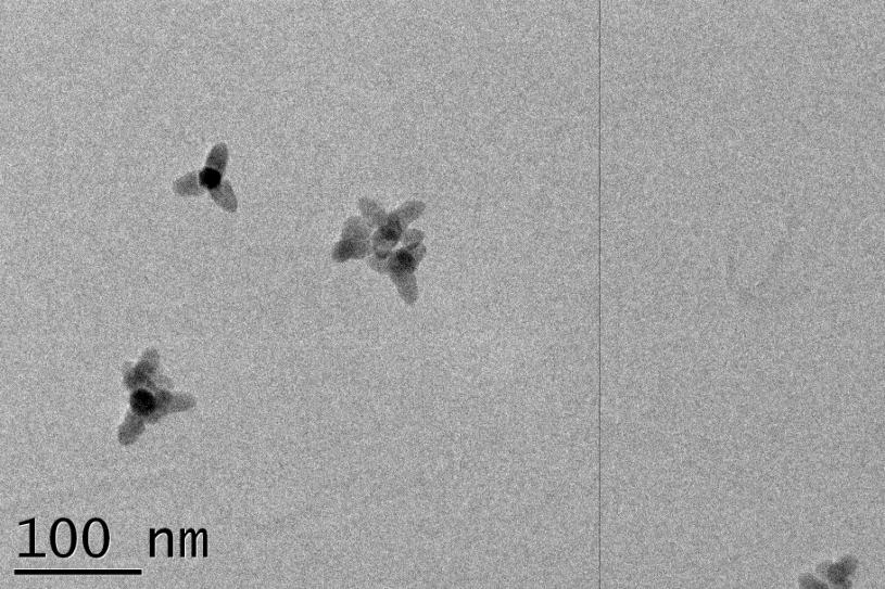 Synthesis of 3D metal oxyde nanoparticles Core 15 nm Branches 20