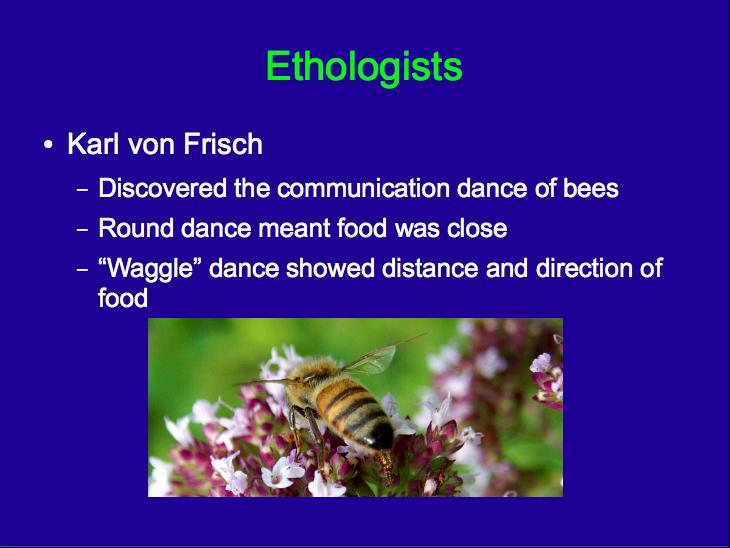 Ethologists Karl von Frisch Discovered the communication dance of bees Round