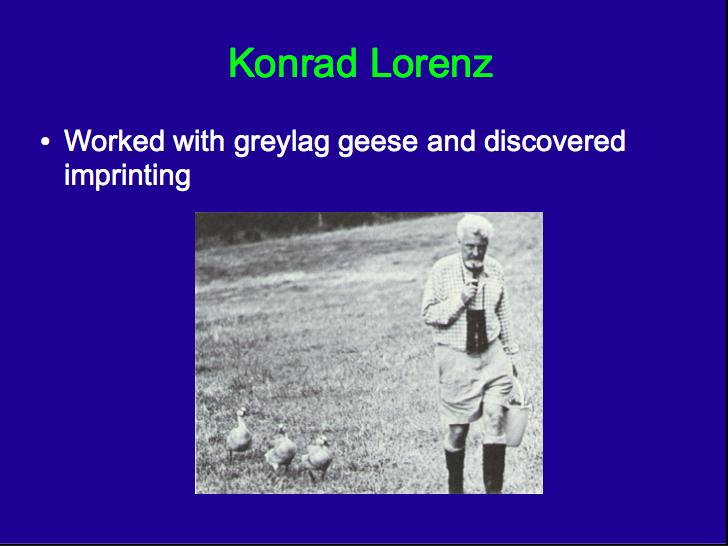 Konrad Lorenz Worked with