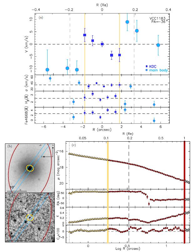 4.4. Virgo des with kinematically decoupled cores VCC 1183 So far only known in Es and caused by gas/galaxy accretion!