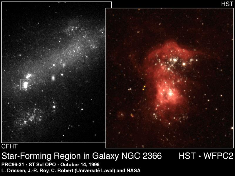 Dwarf Irregular Galaxies are characterized by large gas content