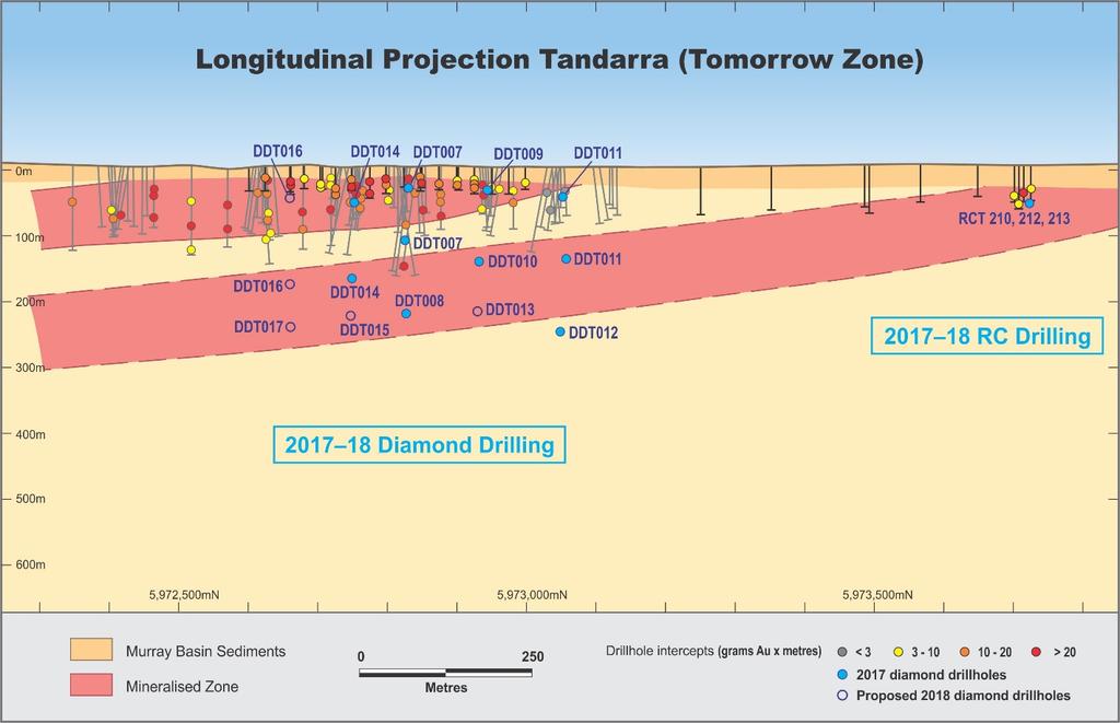 Figure 3: Tandarra Gold Project longitudinal projection