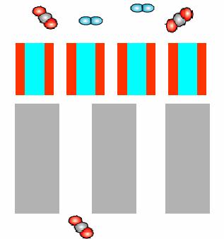 C2 Separation Membranes Through Sub-Nanoscale Materials Control Membrane concept C 2 N 2 Selective Layer Sub-Nanoscale