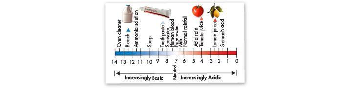 The ph scale ph is a logarithmic scale - each step represents a factor of 10, a liter solution with a ph = 4 has 10x as many H+ ions as a