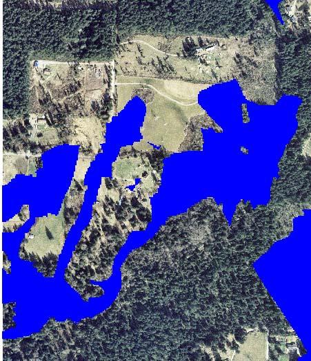 TINs and grids were used to model these flood hazard areas by buffering hydro-geomorphic features by a 5 foot elevation.