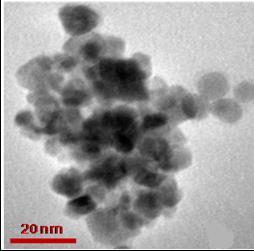 Morphological and elemental analysis of coated magnetite Transmission Electron Micrograph (TEM) CHNS elemental analysis mass (g) % C % H Ligand concentration (mmol g -1 ) * 2.00 20.16 2.94 16.8 2.