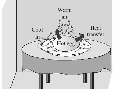 The motion that results from the continual replacement of the heated air in the vicinity of the egg by the cooler air nearby is called a natural convection current, and the heat transfer that is